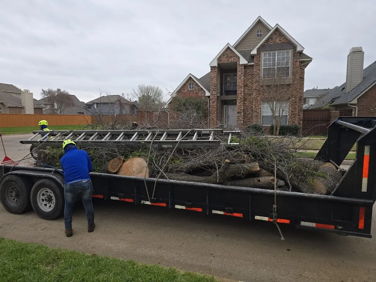 Expert Lot Clearing with proper safety equipment in Wooster